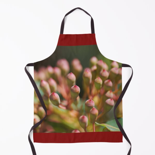 Item preview, Eucalyptus Corymbia Ficifolia Buds designed and sold by Joy Watson - Natural Light Photography .
