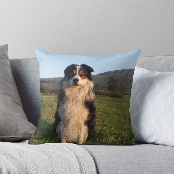 Item preview, Our Laddie. designed and sold by Michael Haslam.