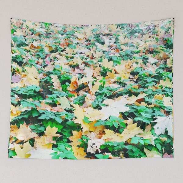 Item preview, Summer meets autumn, natural background designed and sold by helenkaiy.