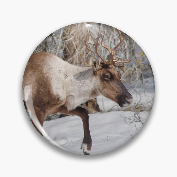 Item preview, Caribou designed and sold by Jukka Jantunen.