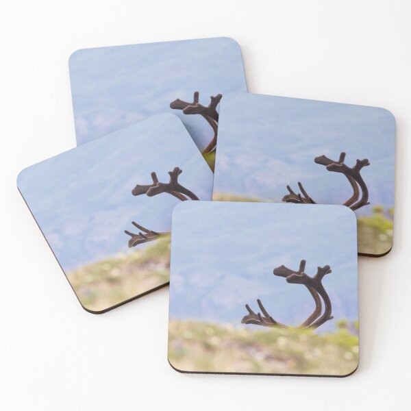 Item preview, Caribou antlers designed and sold by Jukka Jantunen.