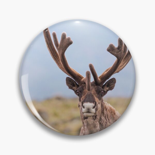 Item preview, Caribou designed and sold by Jukka Jantunen.