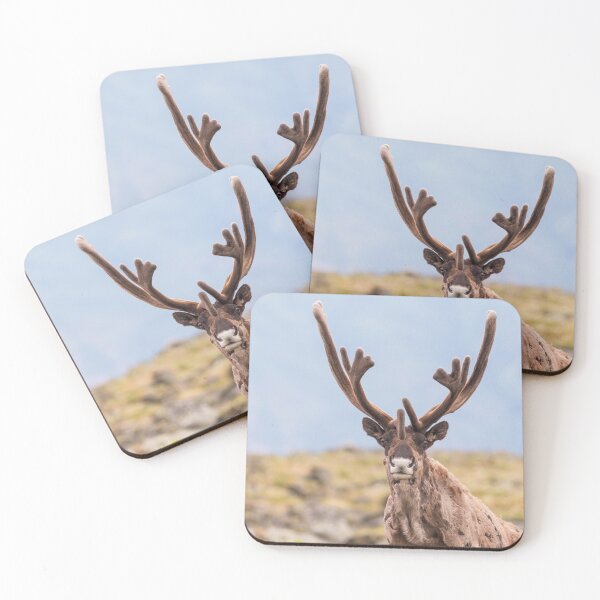 Item preview, Caribou designed and sold by Jukka Jantunen.