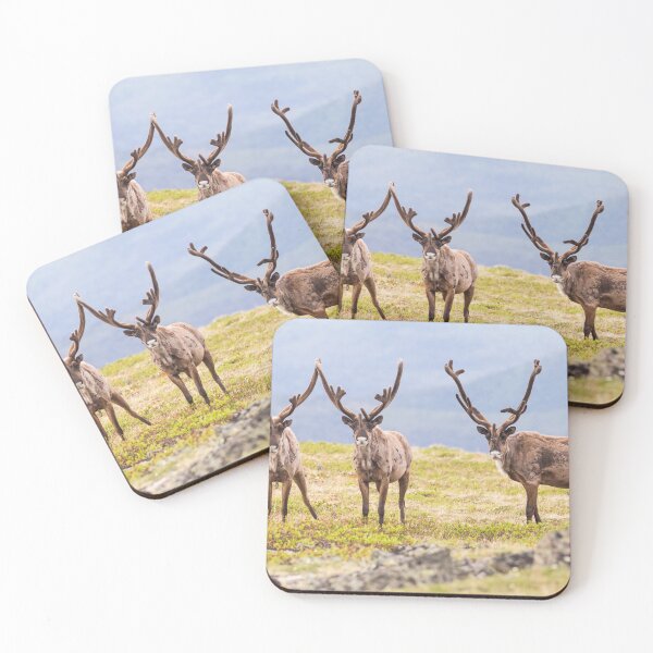 Item preview, Caribou designed and sold by Jukka Jantunen.