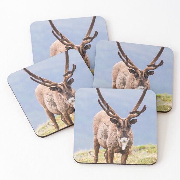 Item preview, Caribou designed and sold by Jukka Jantunen.