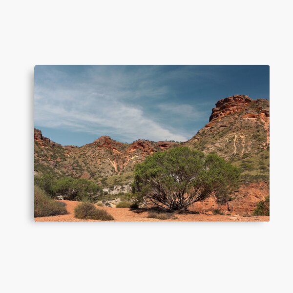 Item preview, The beauty of the Pilbara designed and sold by myraj.