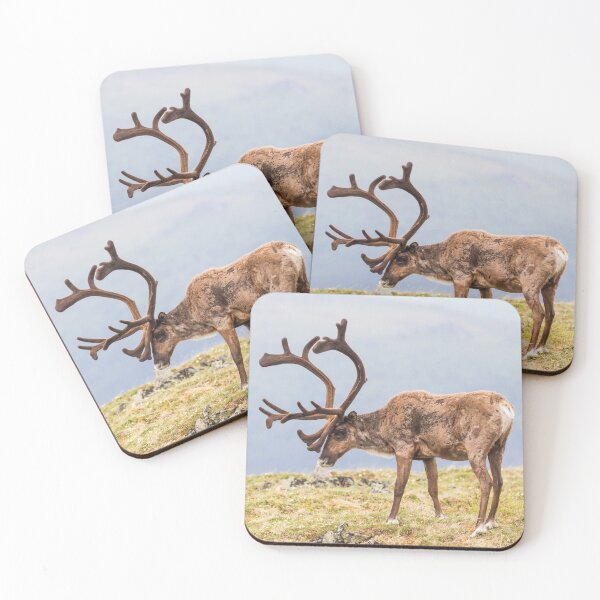 Item preview, Caribou designed and sold by Jukka Jantunen.