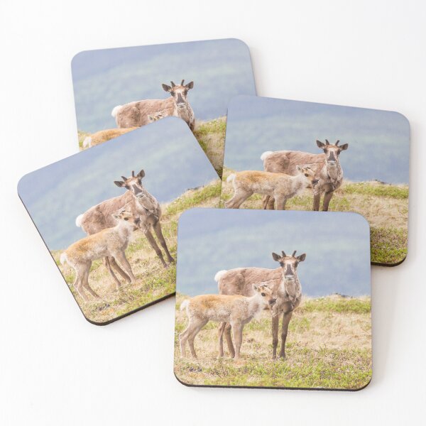Item preview, Caribou designed and sold by Jukka Jantunen.