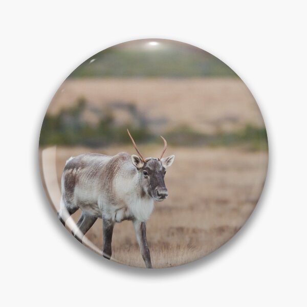Item preview, Caribou designed and sold by Jukka Jantunen.