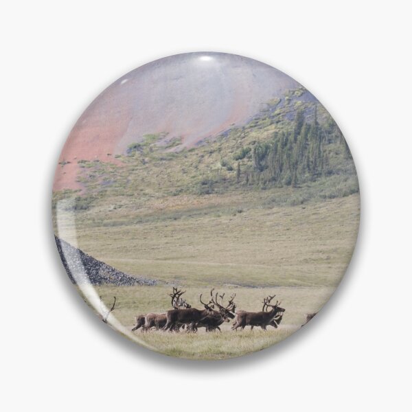Item preview, Caribou designed and sold by Jukka Jantunen.
