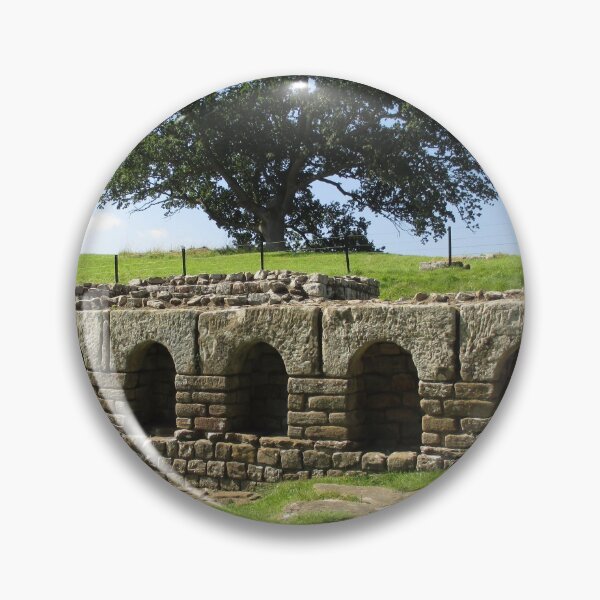 Merch #113 -- The Changing Hall - Shot 2 (Hadrian's Wall) Pin