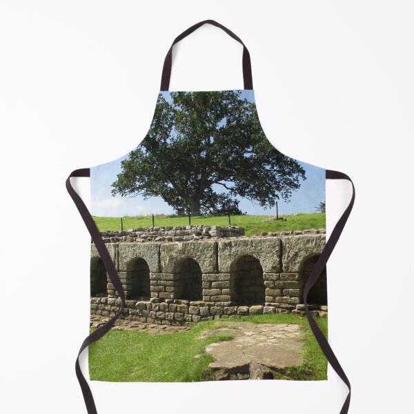 M.I. #113 |☼| The Changing Hall - Shot 2 (Hadrian's Wall) Apron