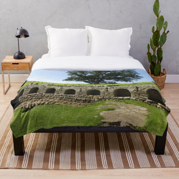 M.I. #113 |☼| The Changing Hall - Shot 2 (Hadrian's Wall) Throw Blanket