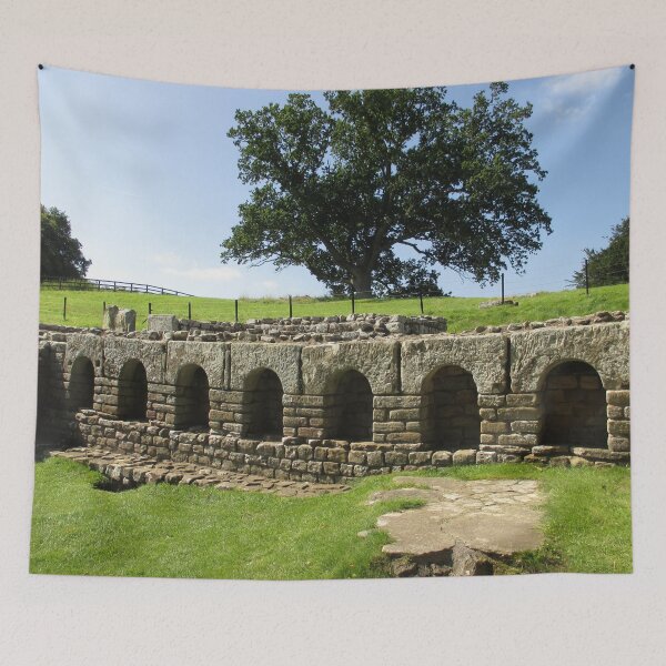 Item preview, #113 |☼| The Changing Hall - Shot 2 (Hadrian's Wall) designed and sold by Naean H.F. (Nez Man).