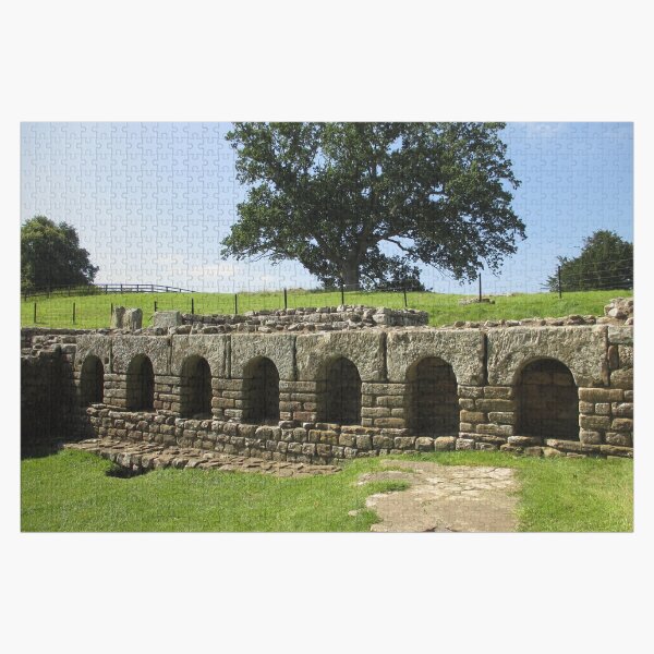 M.I. #113 |☼| The Changing Hall - Shot 2 (Hadrian's Wall) Jigsaw Puzzle