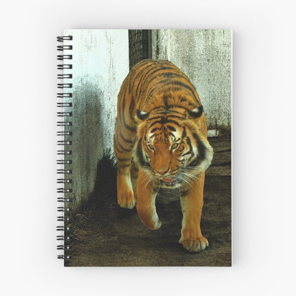 Item preview, Tiger designed and sold by AT-Photo.