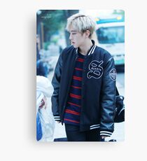 Hoshi Canvas Print