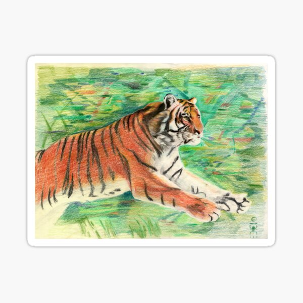 Tiger: Speed, Power, Beauty Sticker
