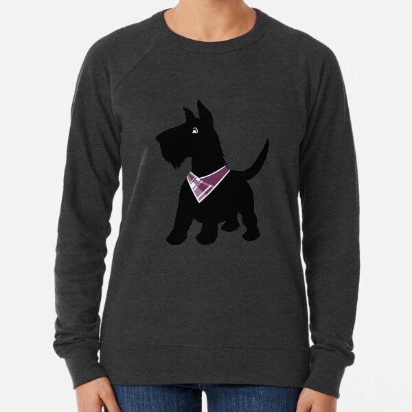 agnes scott sweatshirt