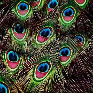 Artwork thumbnail, Patterns by Tifaprint