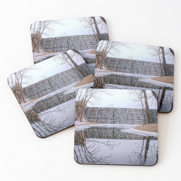 Item preview, Winter A Beed's Dam designed and sold by LynyrdSky.