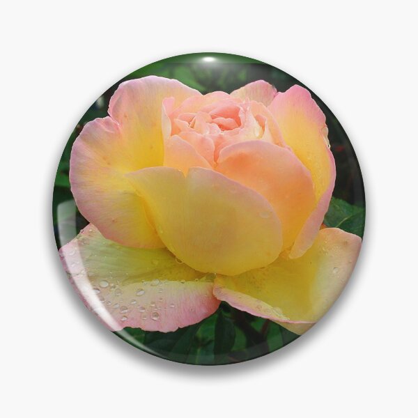 Item preview, Rose - Woodlawn Memorial Gardens (05) designed and sold by Phil Le Cren.