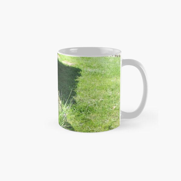 M.I. #114 |☼| Ground Rock Perspective (Hadrian's Wall) Classic Mug