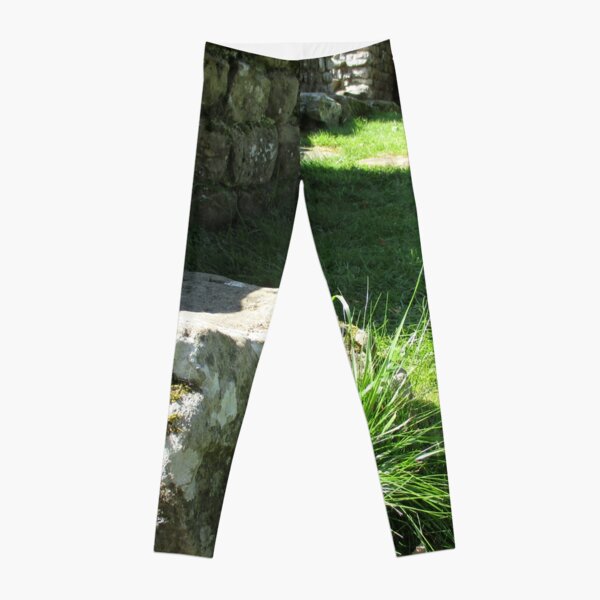M.I. #114 |☼| Ground Rock Perspective (Hadrian's Wall) Leggings