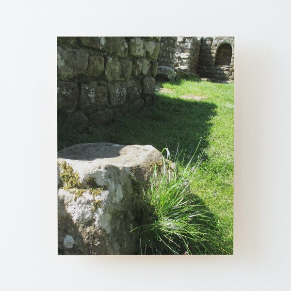 M.I. #114 |☼| Ground Rock Perspective (Hadrian's Wall) Wood Mounted Print