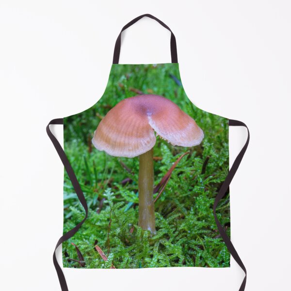 Item preview, Fungi dividido designed and sold by Dave Hare Photography.