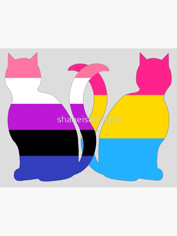 Genderfluid Pansexual Pride Cats Photographic Print By Shaneisadragon Redbubble 3747