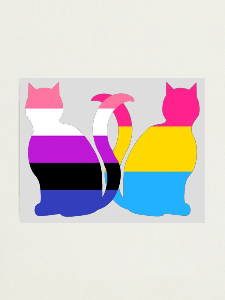 Genderfluid Pansexual Pride Cats Photographic Print By Shaneisadragon Redbubble 9361