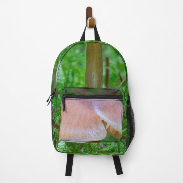 Item preview, Tiny Fungi. designed and sold by Dave Hare Photography.