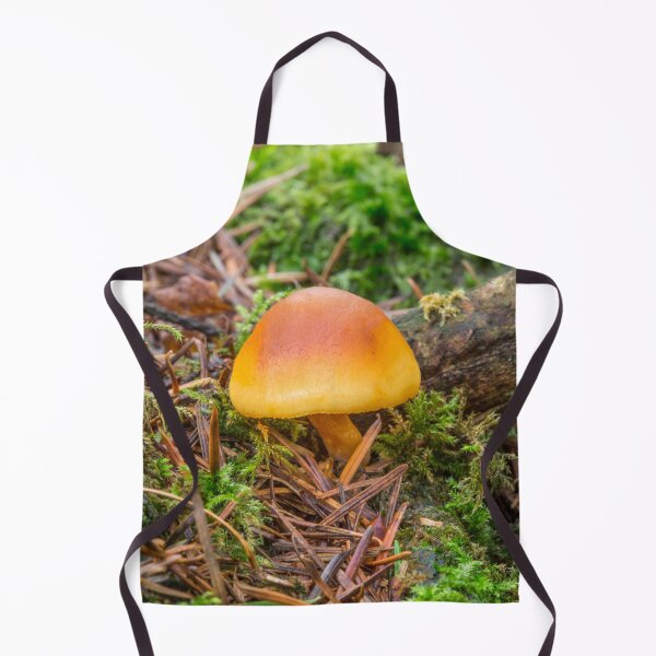 Item preview, Golden Fungi. designed and sold by Dave Hare Photography.