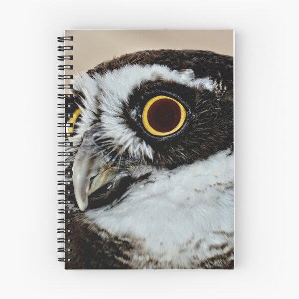 Item preview, Spectacle Owl designed and sold by Amy McDaniel.