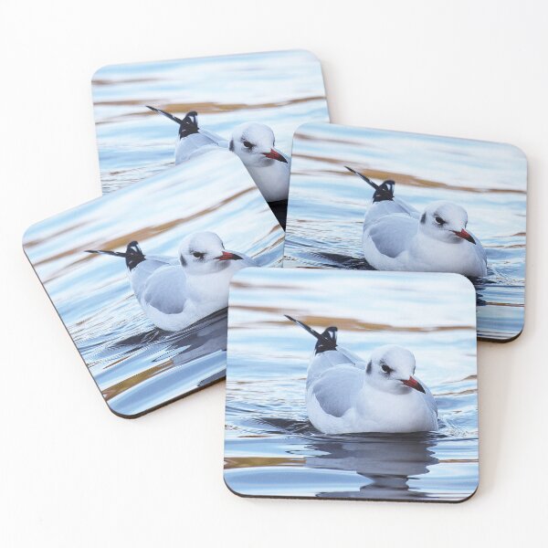 Item preview, Black Headed Gull - UK designed and sold by LivingDeadGirlx.