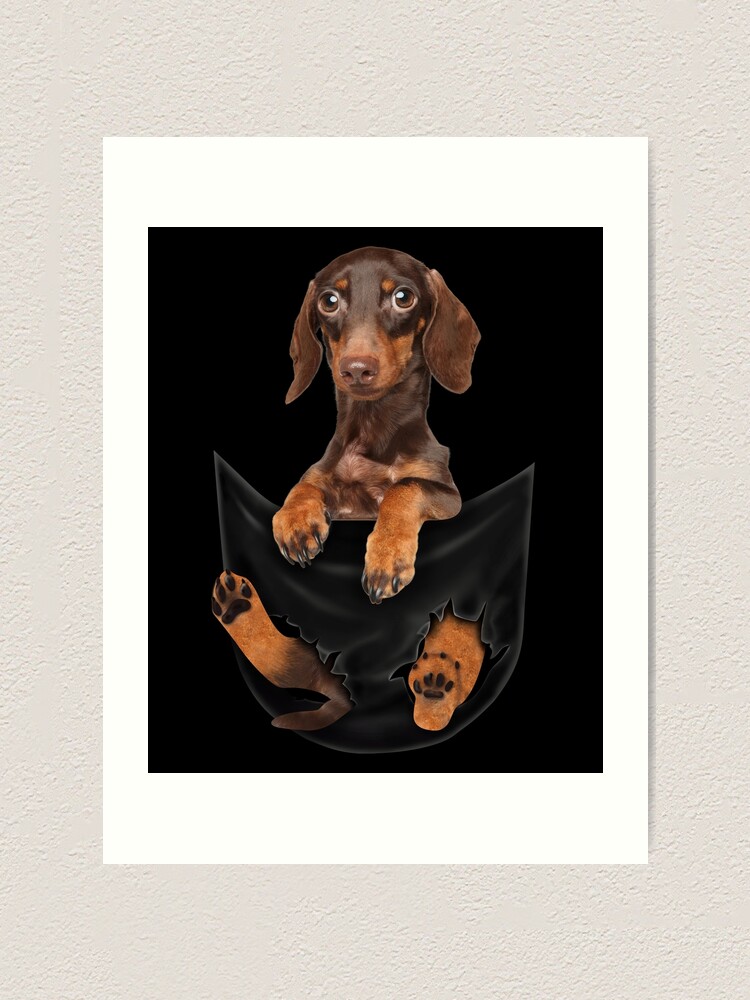 Cute Dachshund Puppy In The Pocket Shirt Pet Wiener Dog Lovers Meme T Shirt Art Print