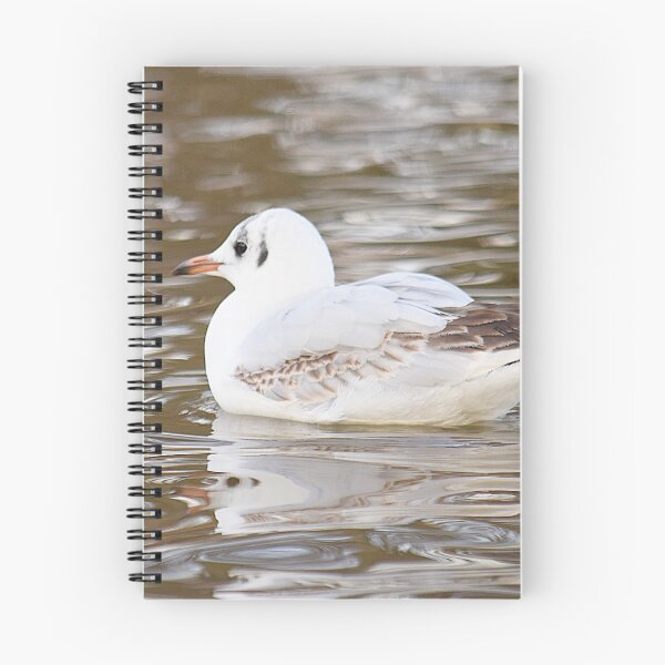 Item preview, Black Headed Gull designed and sold by LivingDeadGirlx.