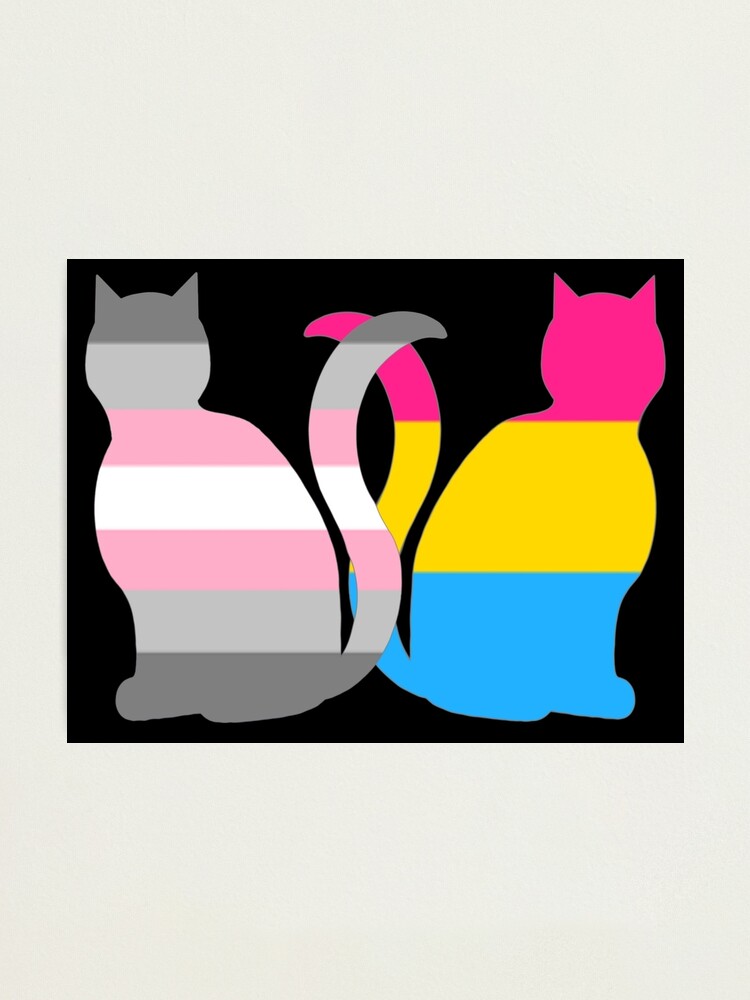 Pansexual Demigirl Pride Cats Photographic Print For Sale By