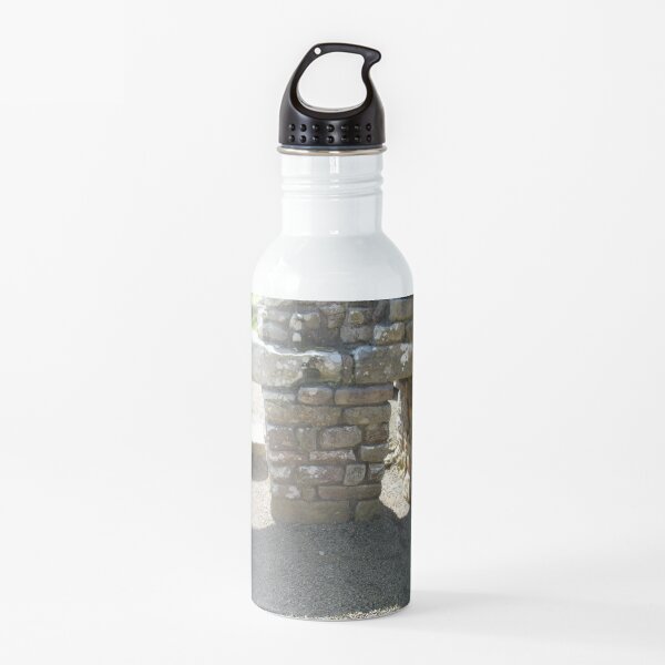 M.I. #115 |☼| Rocks And Bricks - Shot 14 (Hadrian's Wall) Water Bottle