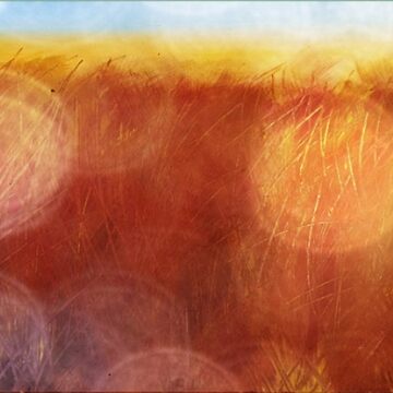 Artwork thumbnail, Bokeh Wheatfield. by delewdesigns