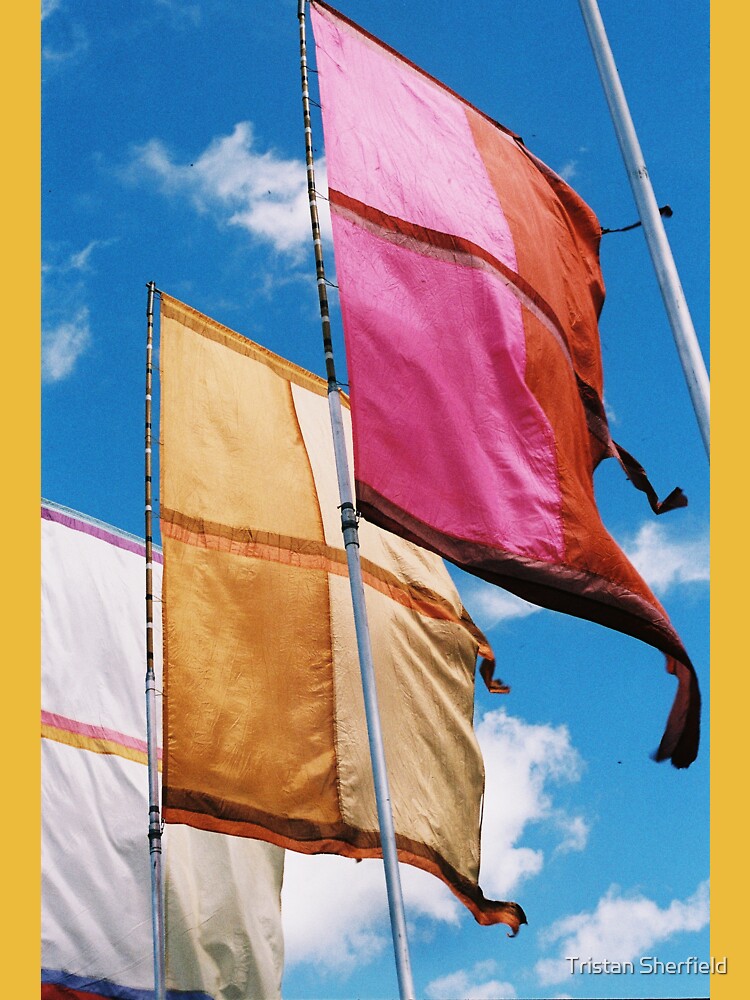 glastonbury style flags