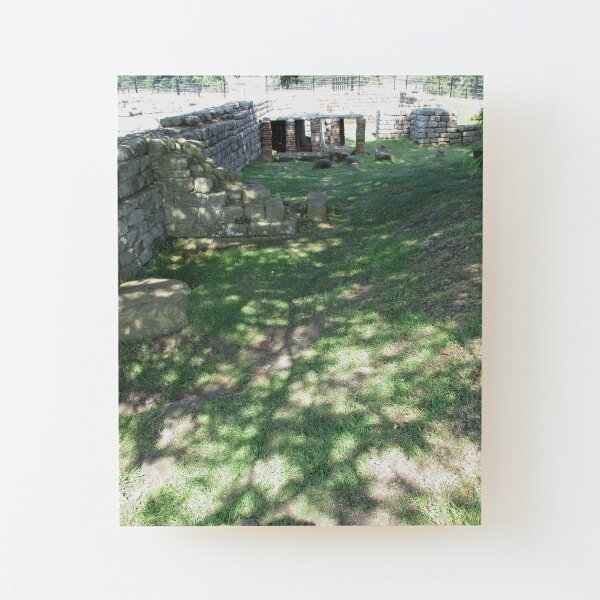 M.I. #116 |☼| Speckle Shadows (Hadrian's Wall) Wood Mounted Print
