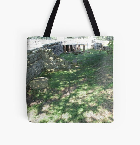 M.I. #116 |☼| Speckle Shadows (Hadrian's Wall) All Over Print Tote Bag