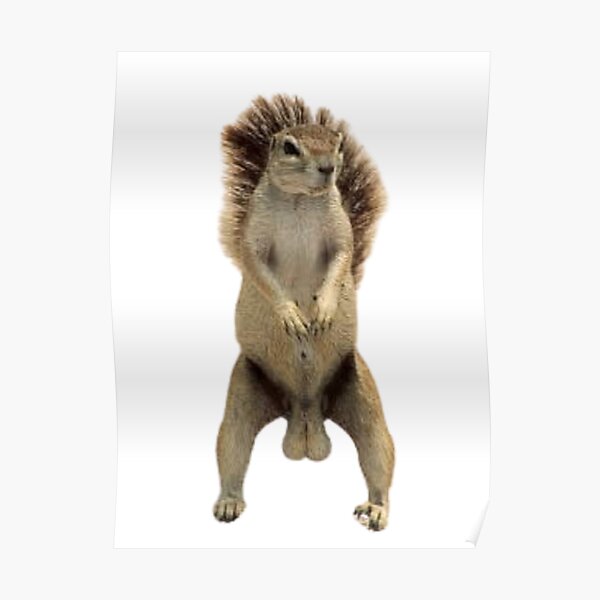 Poster: Lustige Hoden | Redbubble