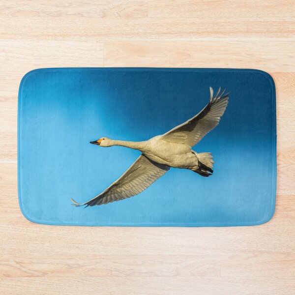 Item preview, Bewicks Swan on the wing designed and sold by Dalyndigital Photography.