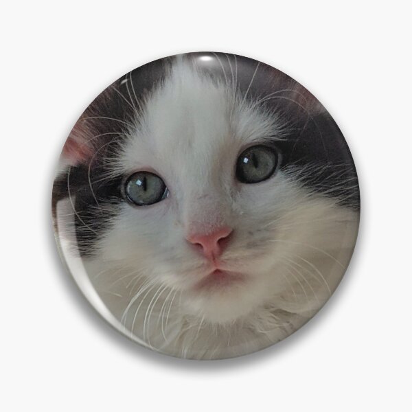 Item preview, Fluffy kitten designed and sold by Fluffycat2020.