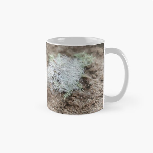 Aperçu de l'œuvre Arbre nature sable créée et vendue par plaline.