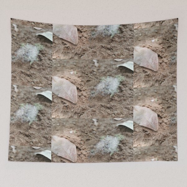 Item preview, Sand nature tree designed and sold by plaline.