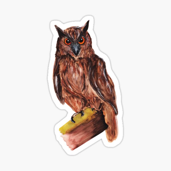 Watercolor - Owl Sticker